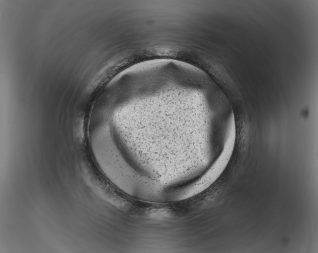 X0000116780262201001071243