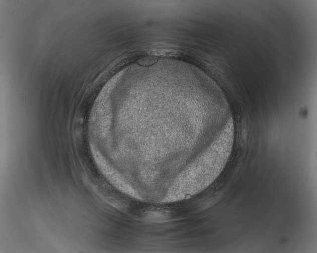 X0000116780263201001071243