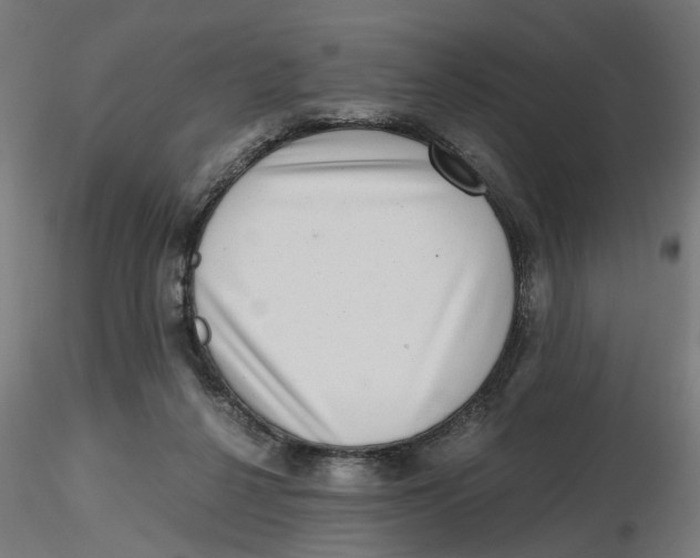 X0000116780264201001071243