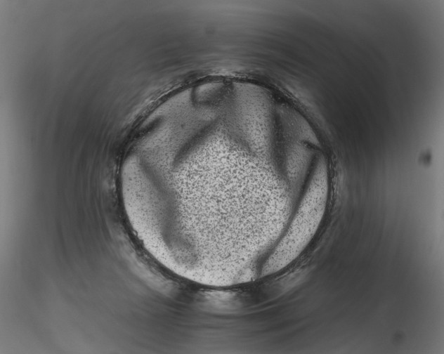 X0000116780265201001071243