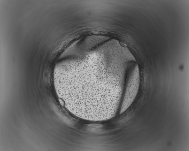 X0000116780266201001071243