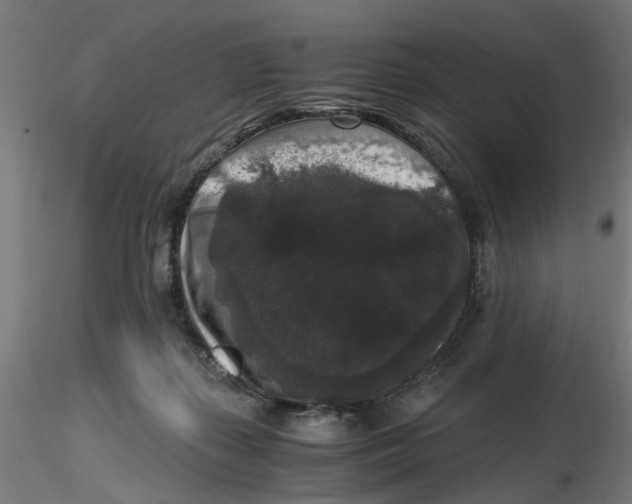 X0000116780267201001071243