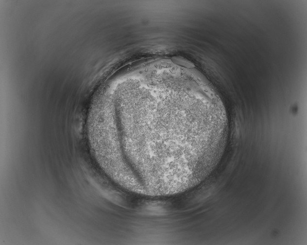 X0000116780268201001071243