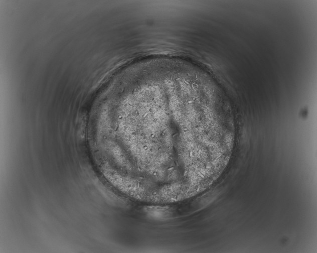 X0000116780273201001071243