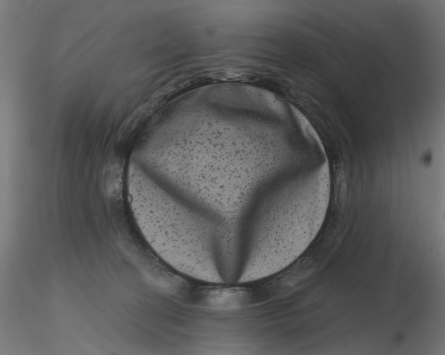 X0000116780274201001071243