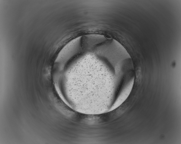 X0000116780278201001071243