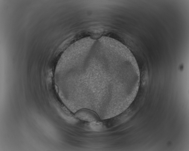 X0000116780279201001071243