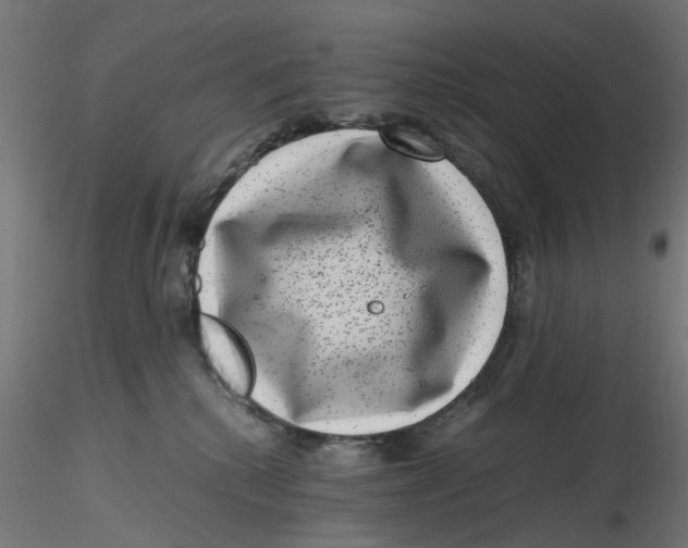 X0000116780280201001071243