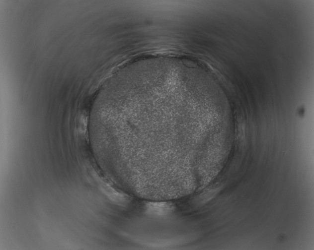 X0000116780281201001071243