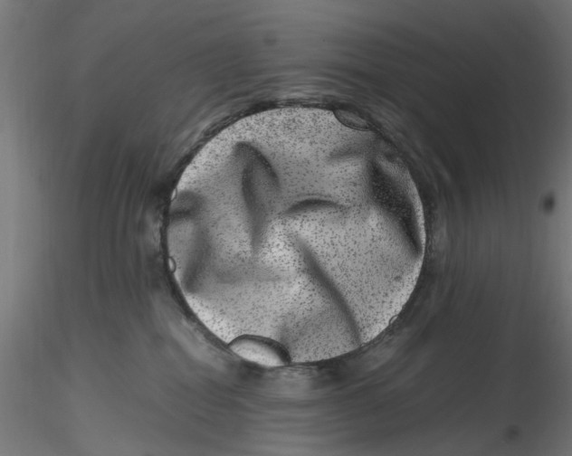 X0000116780282201001071243