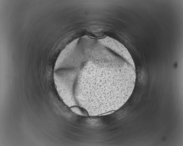 X0000116780283201001071243