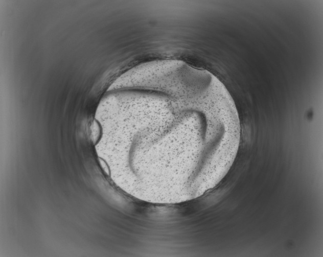 X0000116780286201001071243