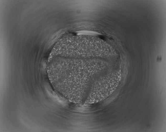 X0000116780288201001071243