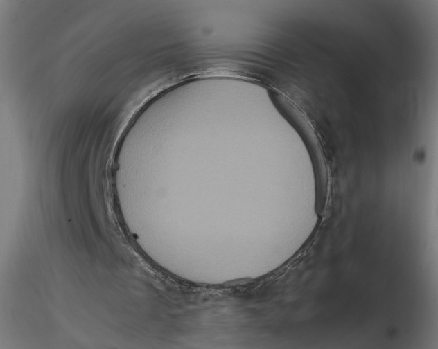 X0000116780289201001071243