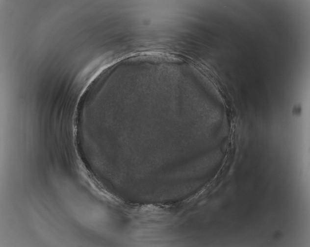 X0000116780290201001071243