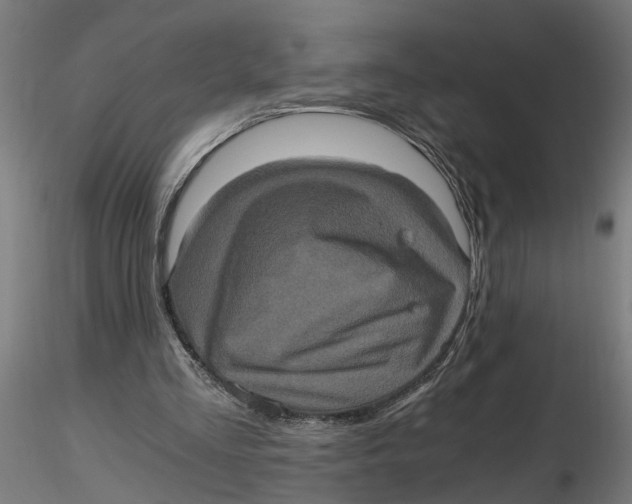 X0000116780293201001071243