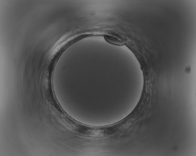 X0000116780295201001071243