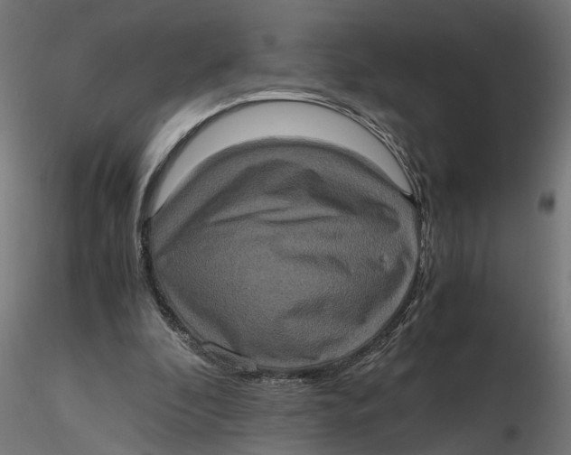 X0000116780296201001071243