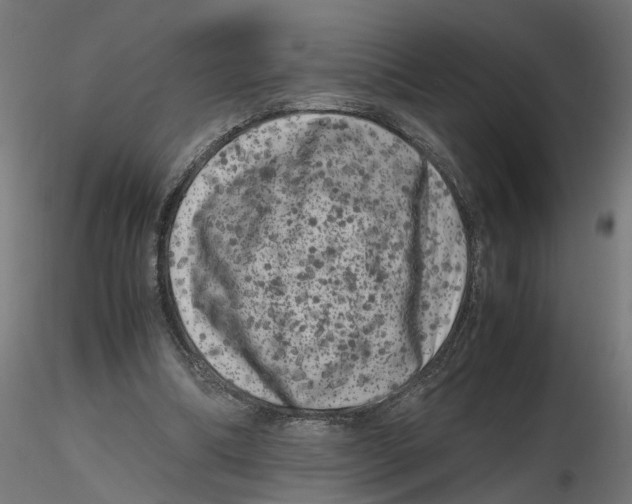 X0000116780298201001071243