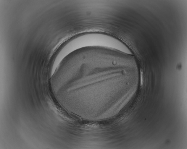 X0000116780300201001071243