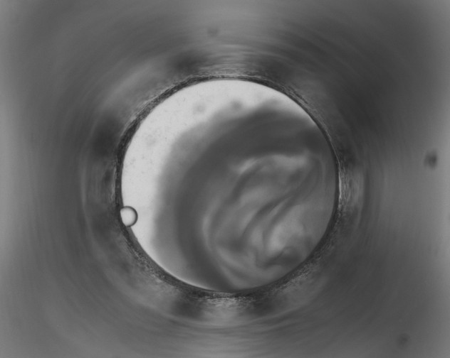 X0000116780301201001071243