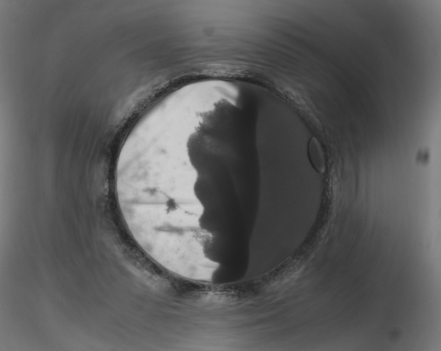 X0000116780303201001071243