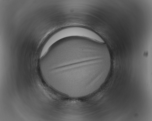 X0000116780304201001071243