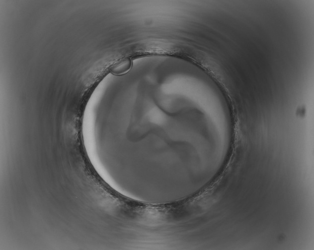 X0000116780305201001071243