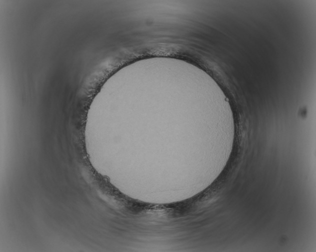 X0000116780307201001071242