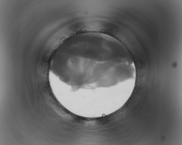 X0000116780309201001071242