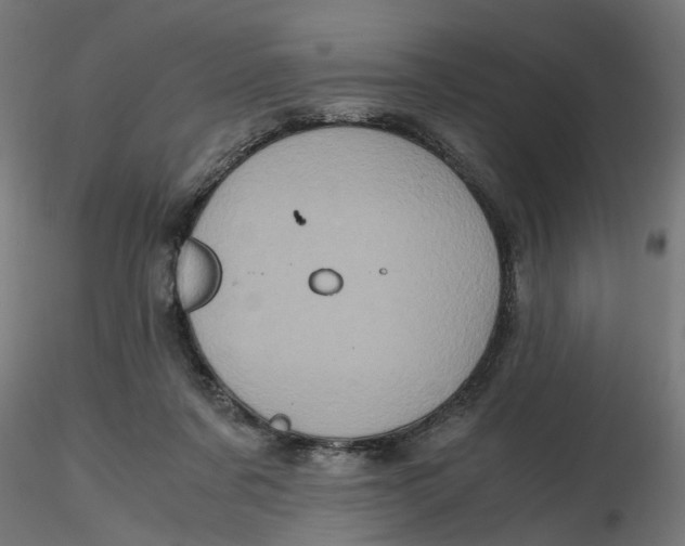 X0000116780311201001071242