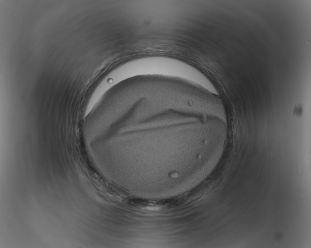 X0000116780312201001071242