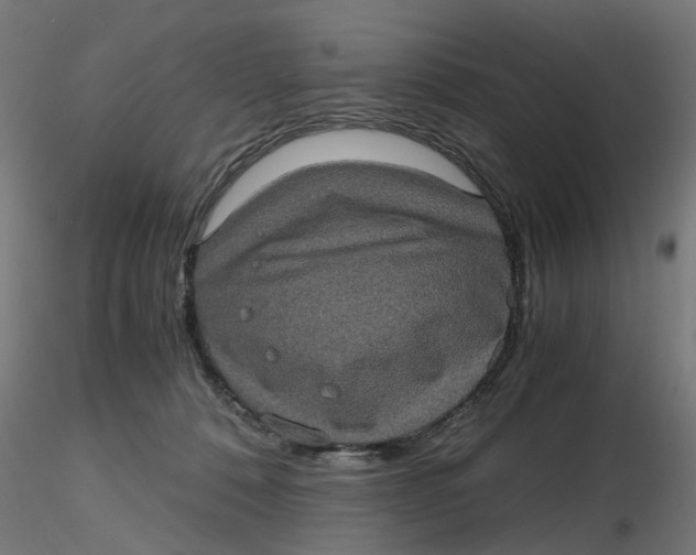 X0000116780320201001071242