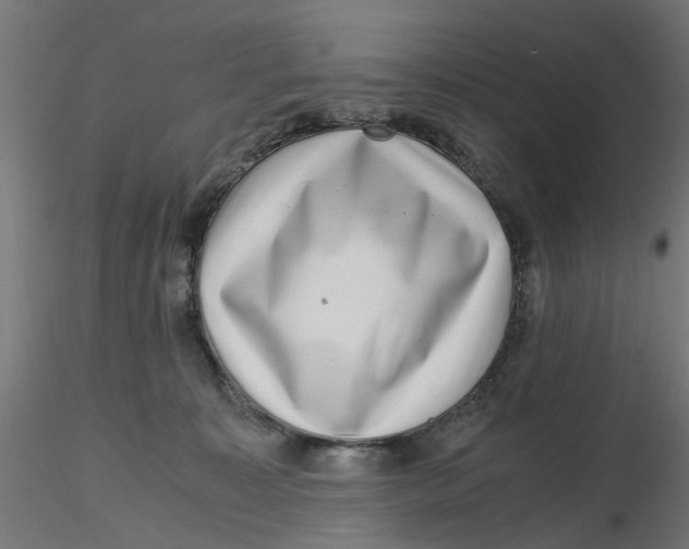 X0000116780323201001071242