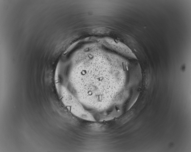 X0000116780326201001071242