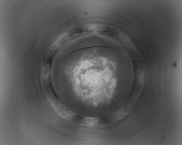 X0000116780328201001071242