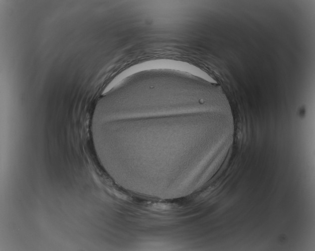 X0000116780332201001071242