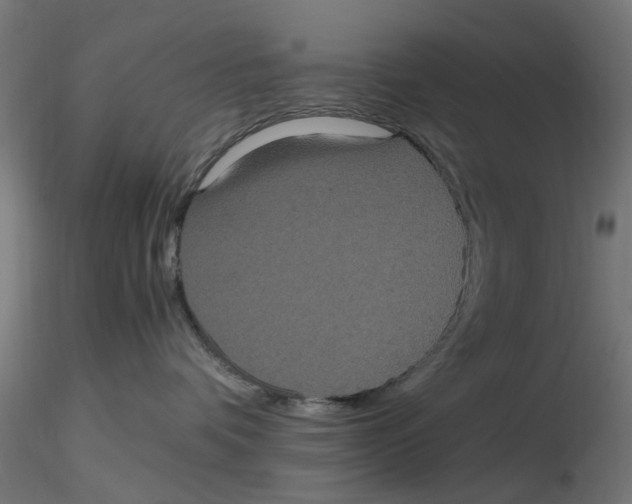 X0000116780336201001071242