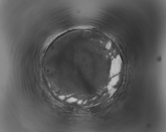 X0000116780337201001071241