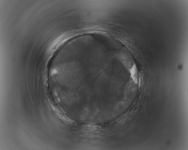 X0000116780339201001071241