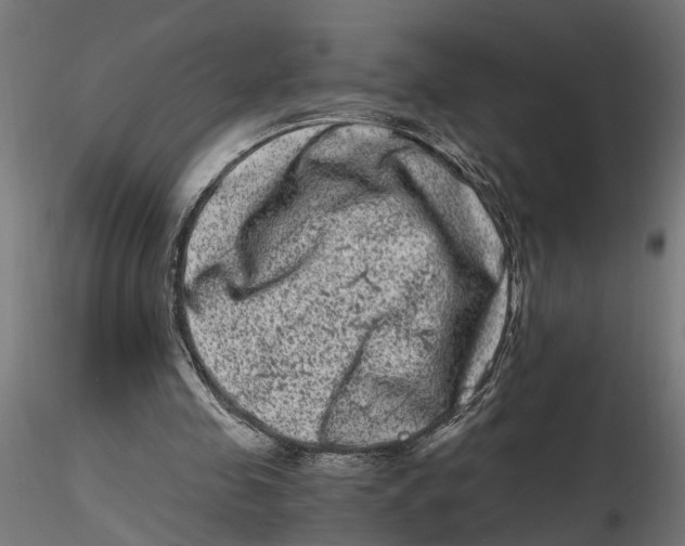 X0000116780341201001071241