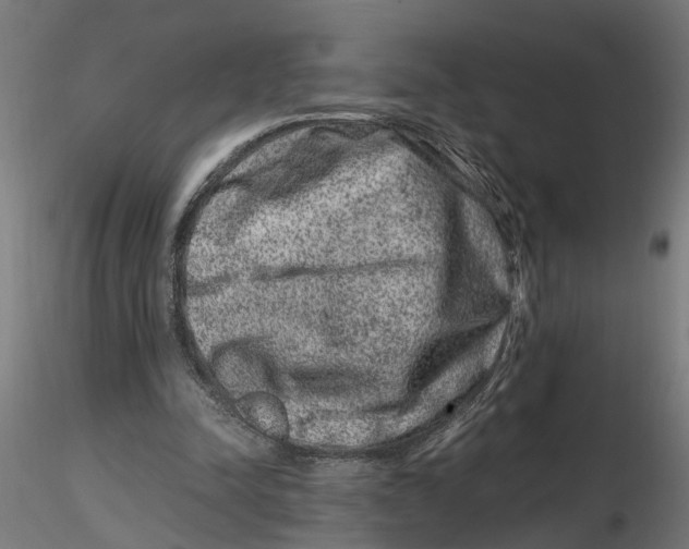 X0000116780342201001071242