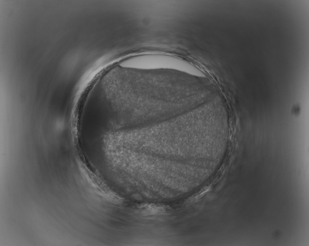 X0000116780343201001071242