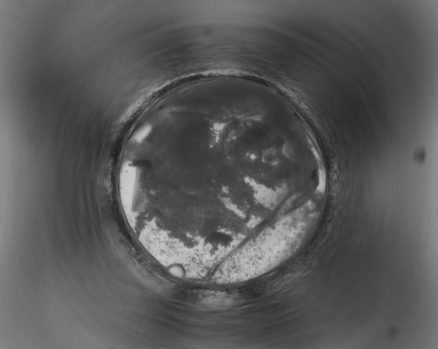 X0000116780347201001071242