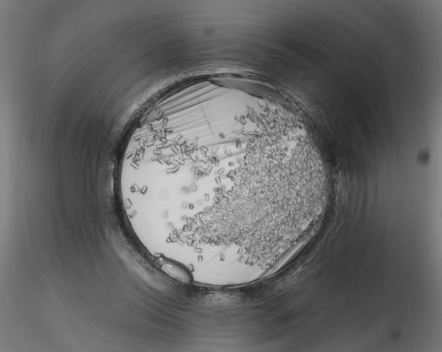 X0000116780350201001071242