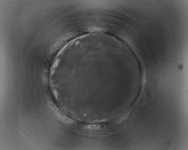 X0000116780353201001071242