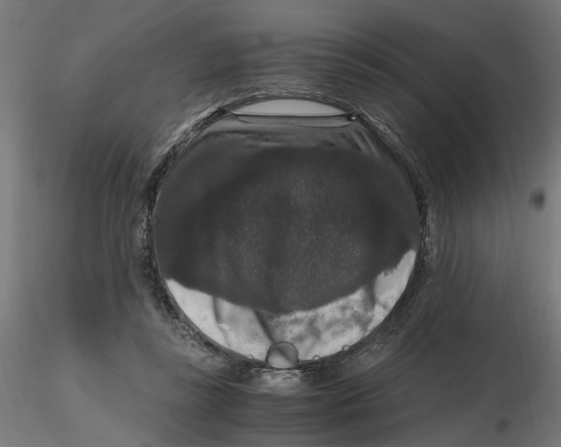 X0000116780355201001071242