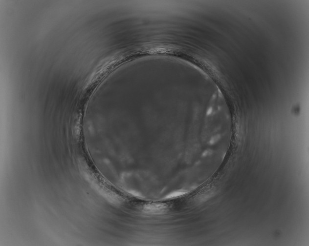 X0000116780357201001071242