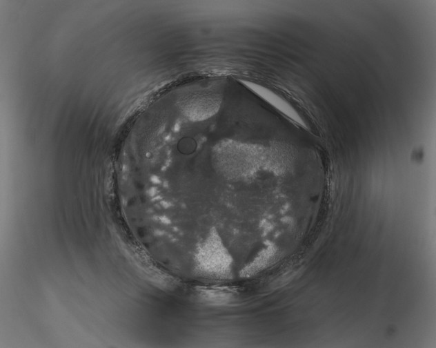 X0000116780359201001071242