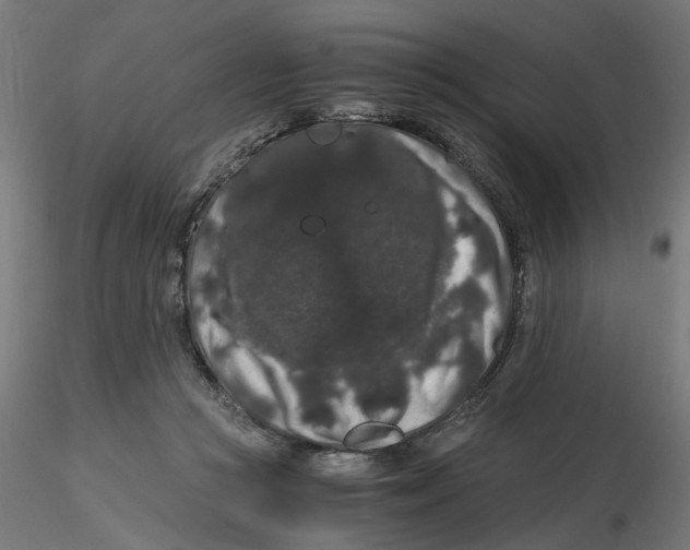 X0000116780361201001071242